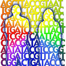 DNAの塩基配列はA, C, T, Gの4種類の文字を使った言語である。この画像は米国National Human Genome Research InstituteのPD画像を利用した。