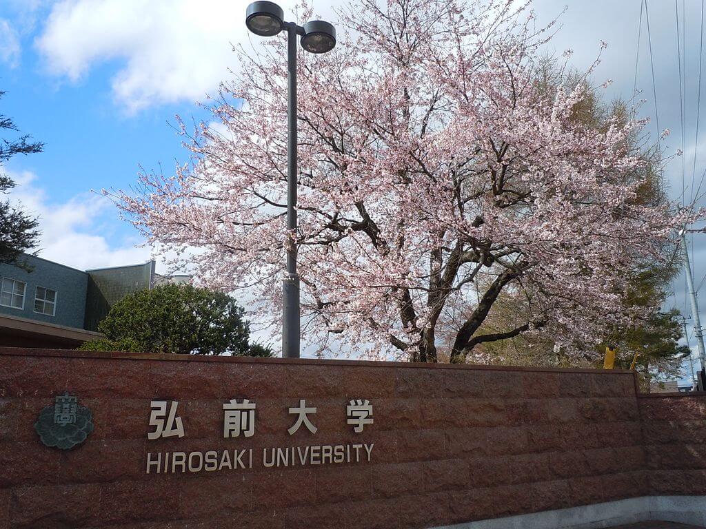弘前大学の学生・教職員数は地域の人口からすると相当大きい。